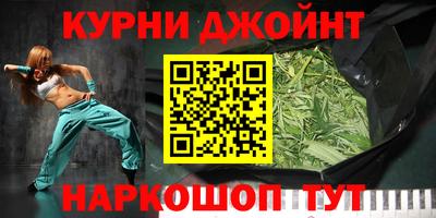 сатива Ярославль