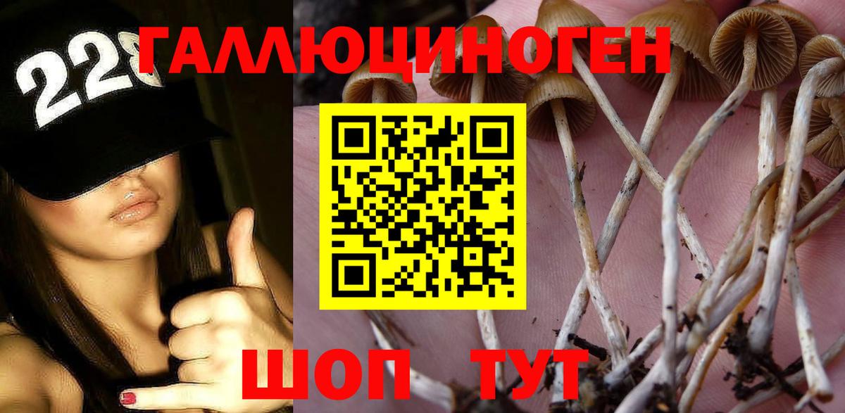Псилоцибиновые грибы Psilocybine cubensis Реж